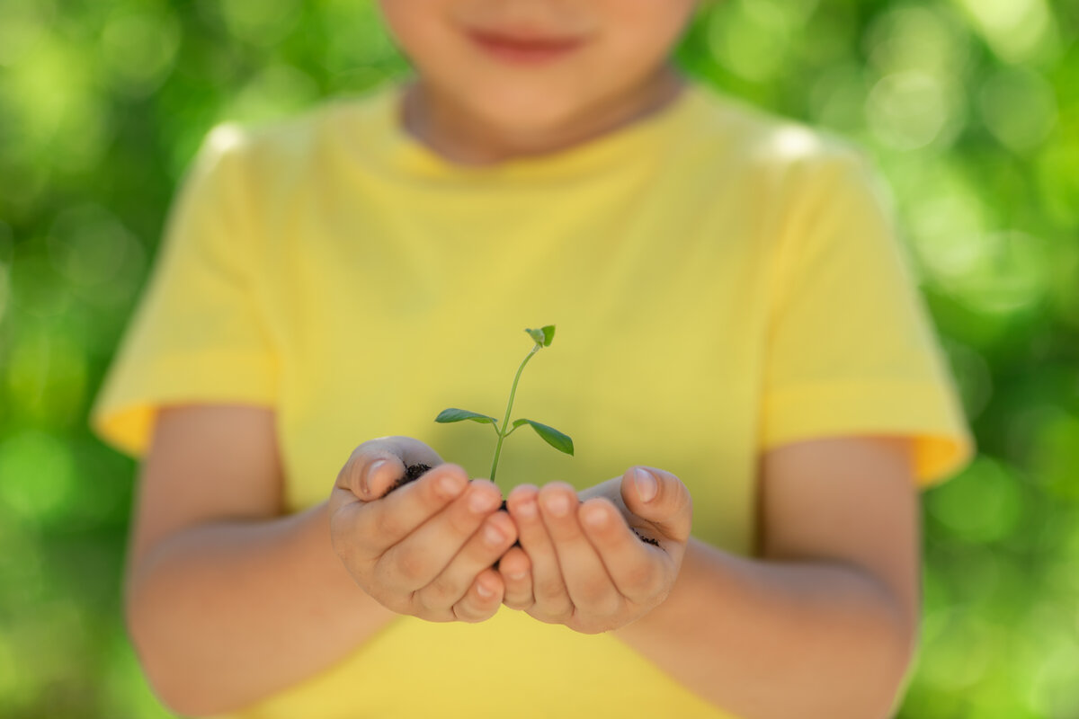 child-holding-young-green-plant-in-hands-re9mwey.jpg