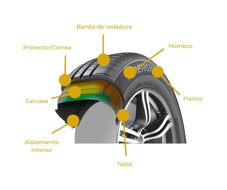 componentes-neumatico.jpg